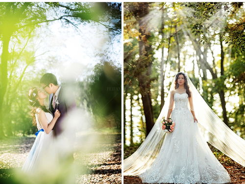 非凡摄影 源自台湾的匠心，定义武汉婚纱摄影新高度