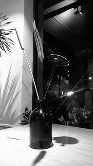 厦门饮品店的摄影情缘 一加社区与轻摄影的创意融合